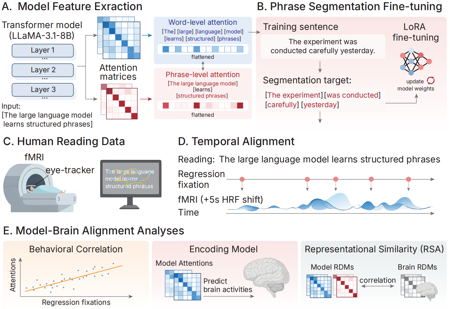 Do Large Language Models Acquire Phrase-Based Processing?
